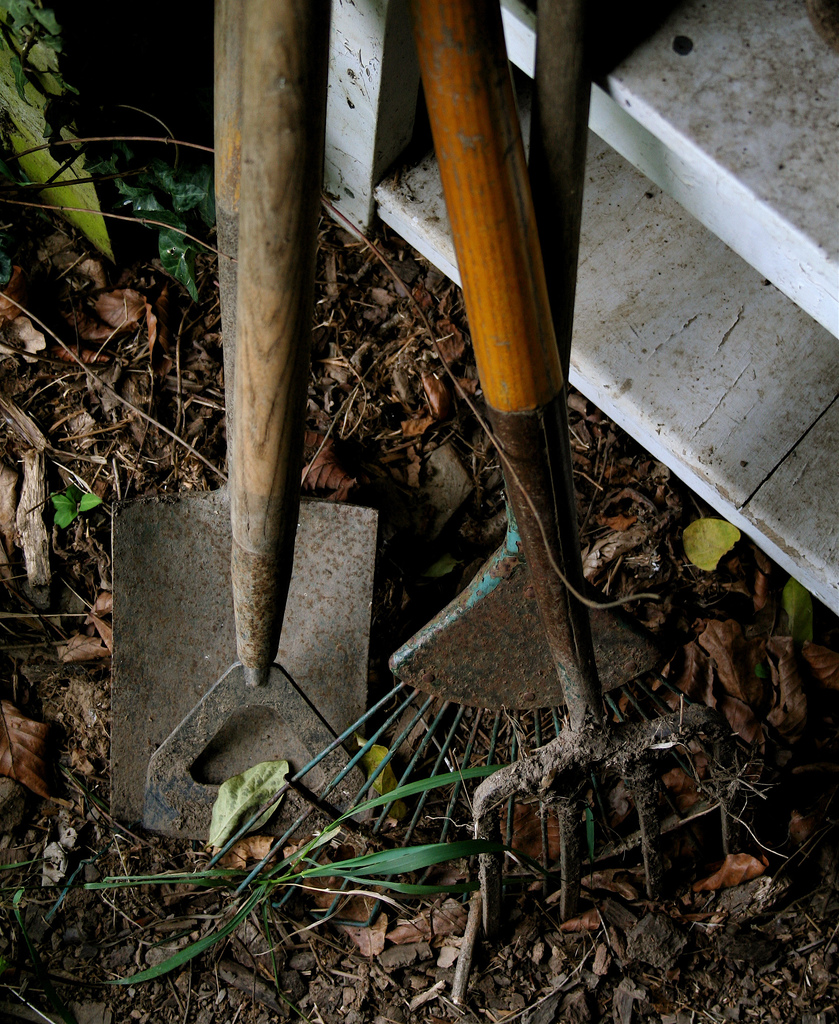 Bring the Plants to You » Bring the Farm to You