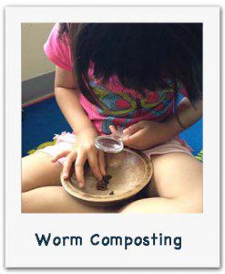 new worm composting