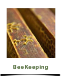 Beekeeping