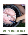 Dairy Delicacies