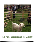 Farm Animal Event