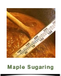 Maple Sugaring